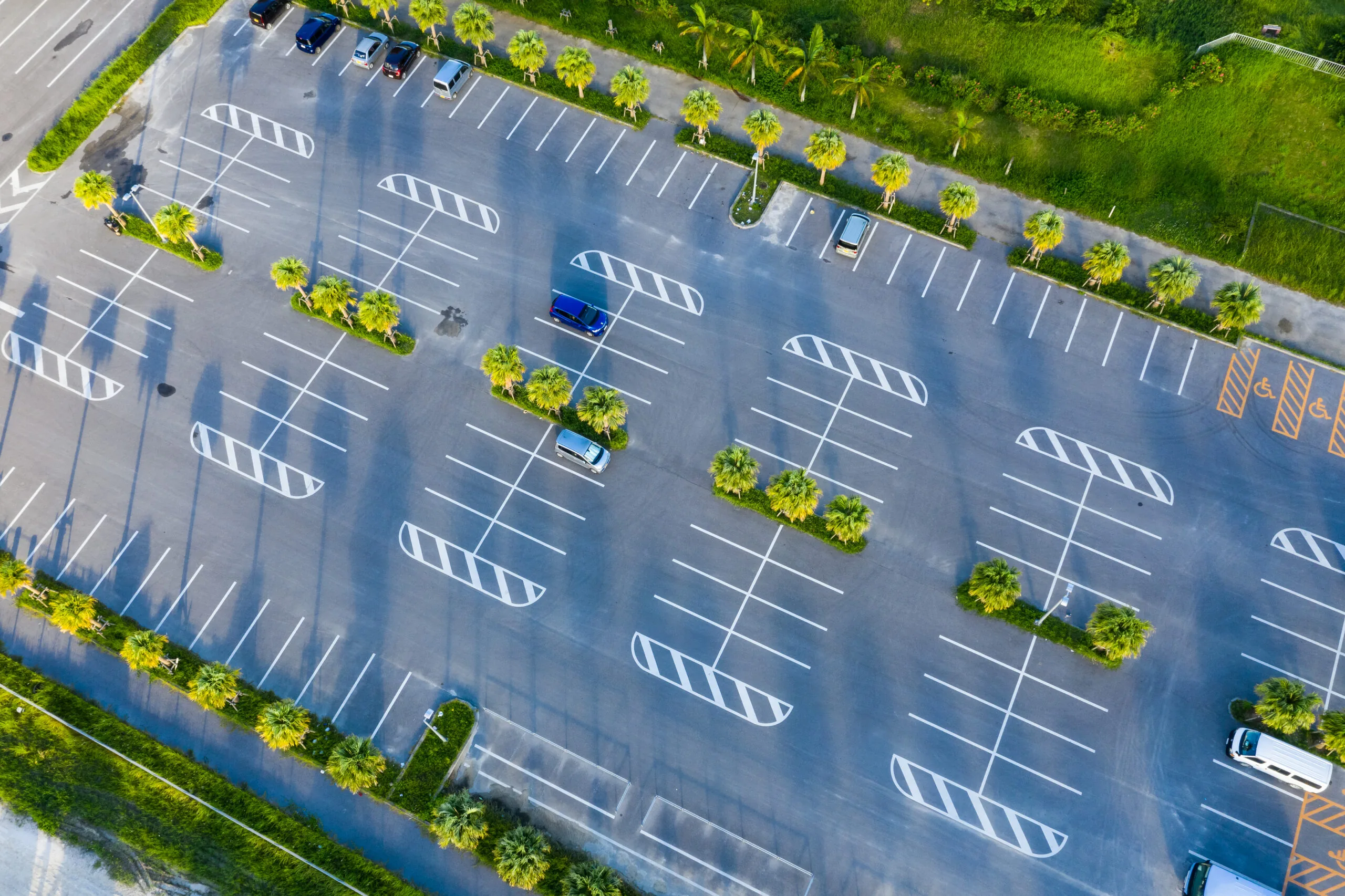 Parking lot with bright white line striping and palm trees along asphalt lanes