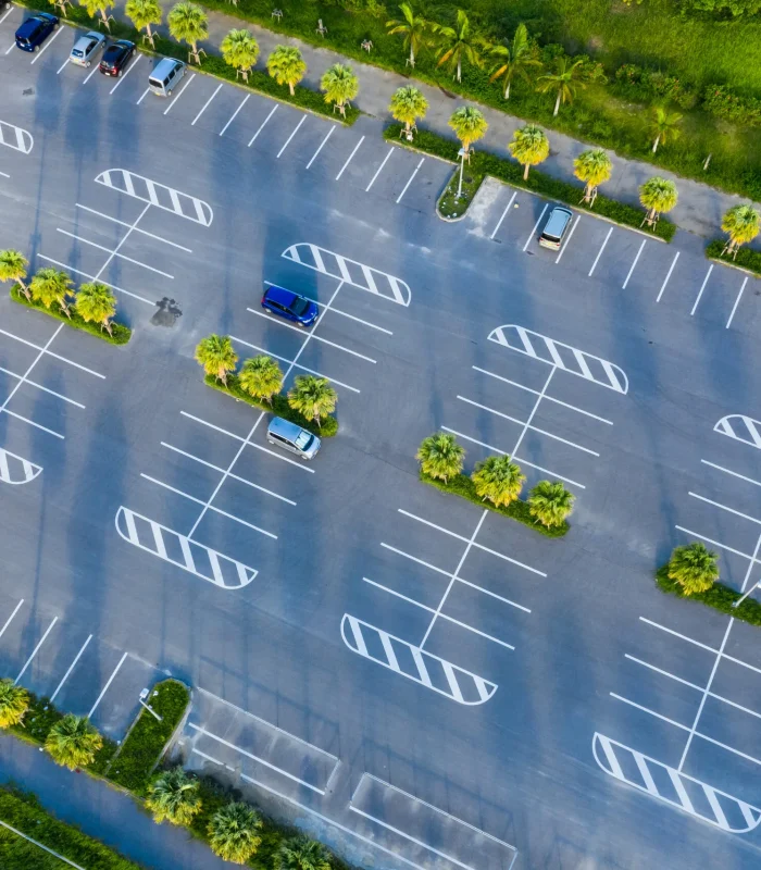 Parking lot with bright white line striping and palm trees along asphalt lanes